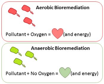 This energy system can be developed with various wadley, g. Aerobic and Anaerobic - Energy Systems - Book derives