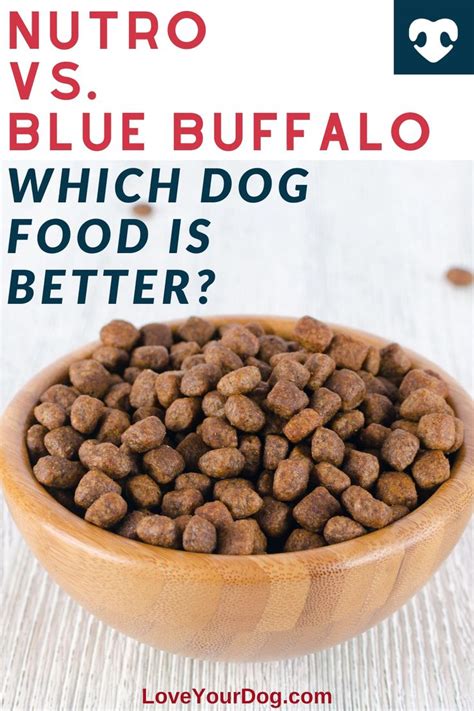 While taking care of dogs is a rewarding job, it is also a very exhausting one too. Blue Buffalo vs. Nutro: Dog Food Brand Comparison [Video ...