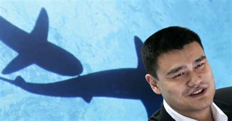 Yao Ming To China Stop Eating Shark Fins Cbs News