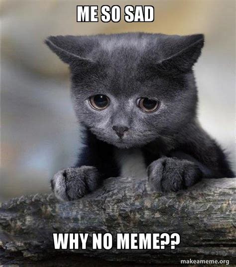 Me So Sad Why No Meme Confession Cat Make A Meme