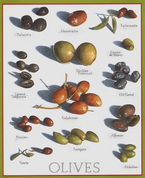 Know Your Olives Types Of Olives Olive Cooks Illustrated