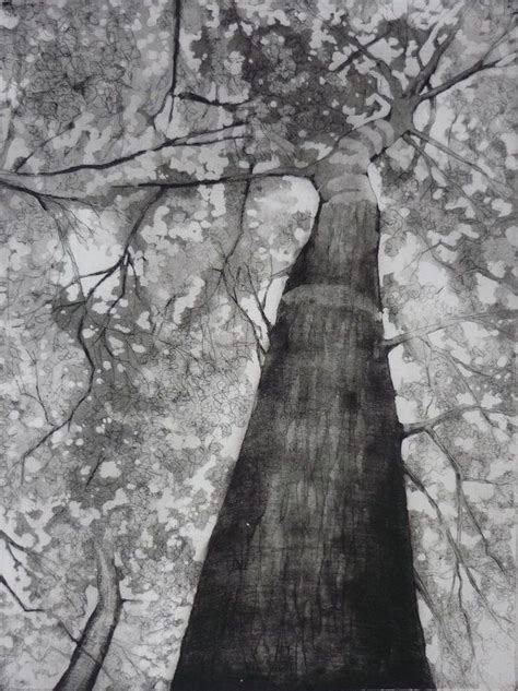 Tall Tree 2019 Etching Engraving By Jessica Rose Tall Trees