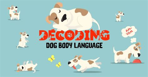 Decoding Dog Body Language For Pet Parents Blog Waggle