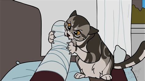 curious kitten leia short animation youtube