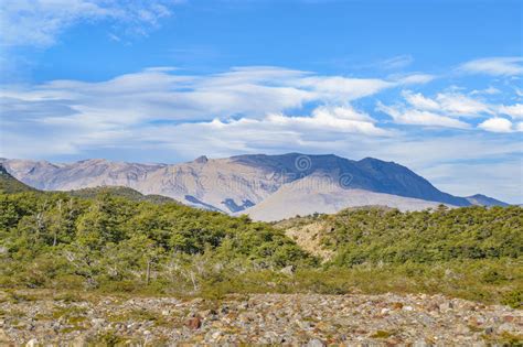 Patagonia Forest Landscape El Chalent Argentina Stock Photo Image