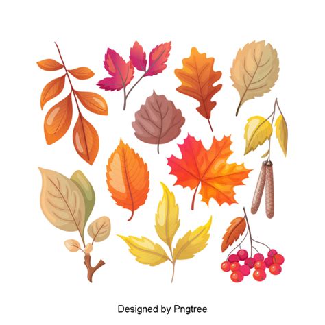 Cartoon Simple Hand Painted Autumn Leaf Design, Cartoon, Hand Painted, Simplicity PNG ...