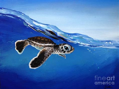 Turtle Swim Painting By June Huff Fine Art America