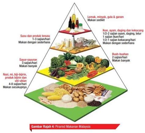 Kepentingan Piramid Makanan Dalam Kehidupan Jangan Hanya Makan
