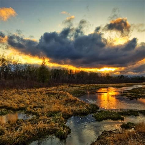 We will be launching a site soon and holding an ipad giveaway! 25 Nature iPad Backgrounds
