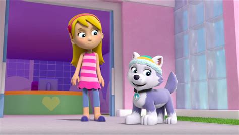 Katiegallerypups Save Jakes Cake Paw Patrol Wiki Fandom