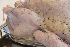 How To Insert Meat Thermometer Into Turkey