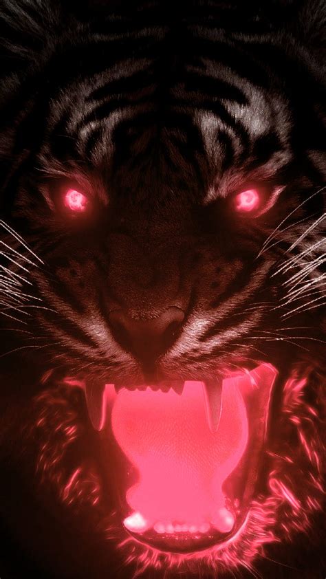 1920x1080px 1080p Free Download Angry Tiger Animal Big Cat Mad