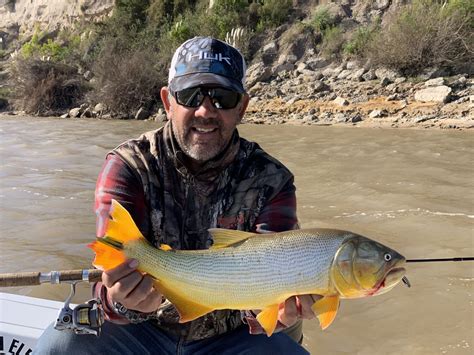 Wild Boar Hunting In Entre Rios Riverland Outfitters Argentina