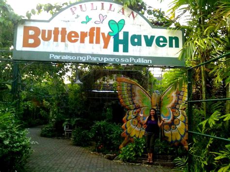 Pulilan Butterfly Haven And Resort In Pulilan Bulacan Is For Butterfly