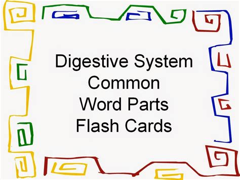 Student Survive 2 Thrive Digestive System Common Word Parts Flash Cards