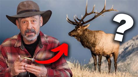 Can A 270 Kill An Elk The 12 Latest Answer