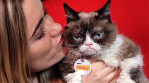 Viral Sensation Grumpy Cat Has Died At Age 7 Bnn Bloomberg