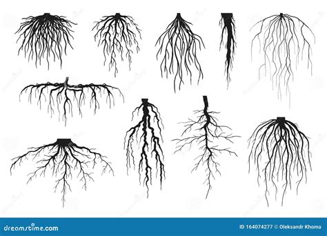Tree Roots Silhouette Clip Art