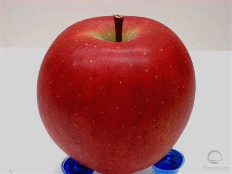 Buy Fuji Apple Large Directly From Japanese Company Nippon Dom