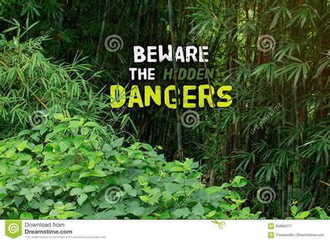 Beware The Hidden Dangers And Welcome To The Jungle. Things Tha Stock Image - Image of dangers 