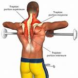 Images of Upper Back Muscle Strengthening