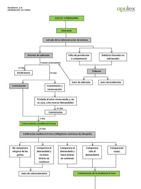 Esquema Juicio Ordinario Pdf Demanda Judicial Res Judicata