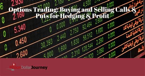 Options Trading Buying And Selling Calls And Puts For Hedging And Profit