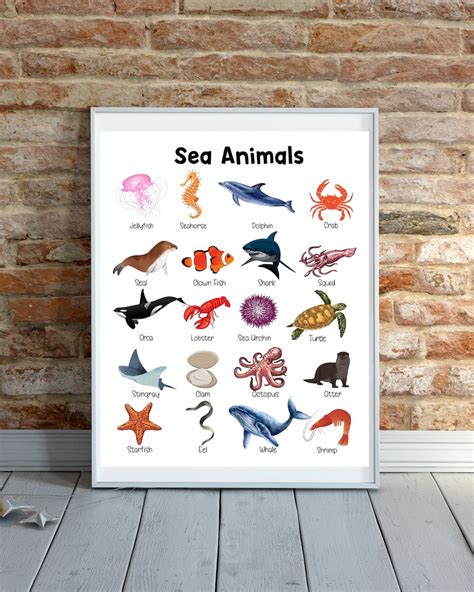 Sea Animal Poster Ocean Animals Science Homeschool Etsy