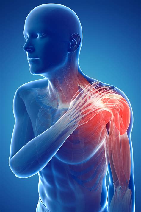 The shoulders are an important part of our body. Take a Weight Off Your Shoulder Pain! - A Body In Motion ...