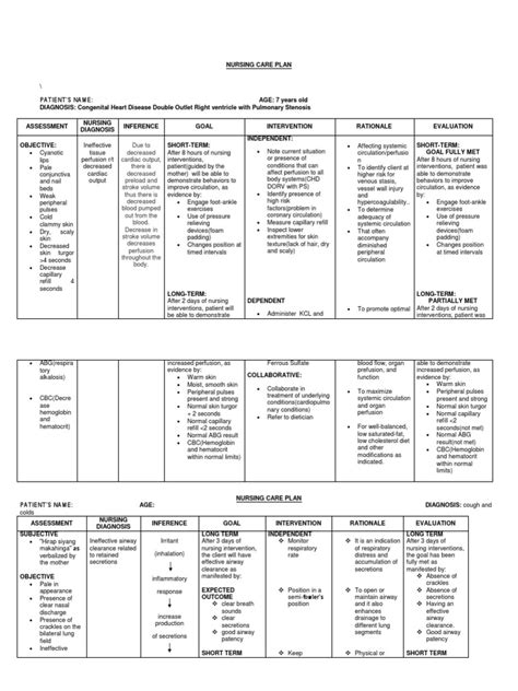 Ncp Ineffective Tissue Perfusion Circulatory System Respiratory Tract