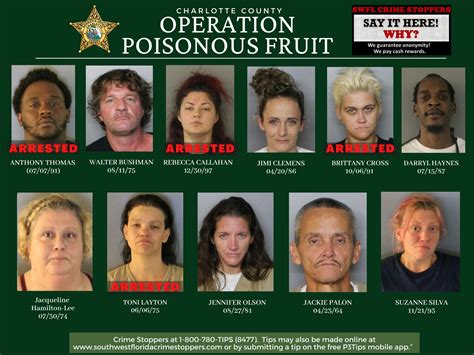 Charlotte County Jail Mugshots