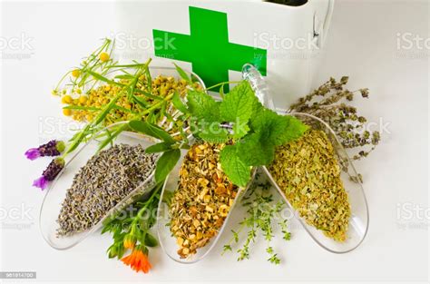 Alternative Medicine Herbal Therapy Stock Photo - Download Image Now ...
