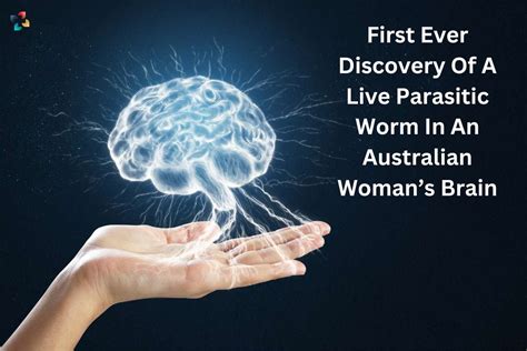 First Ever Discovery Of A Live Roundworm In An Australian Woman S Brain
