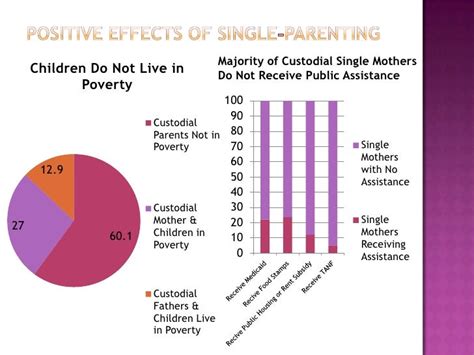 Single Parent Families By Sara Vaeth
