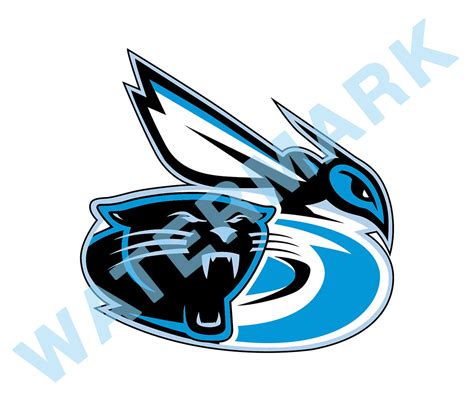 Carolina Panthers Circle Logo Vinyl Decal Sticker 10 Sizes Sportz
