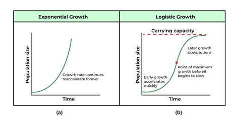 Logistic Population Growth Definition Factors Graph Examples Faqs