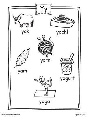 Letter Y Word List with Illustrations Printable Poster  Y words list