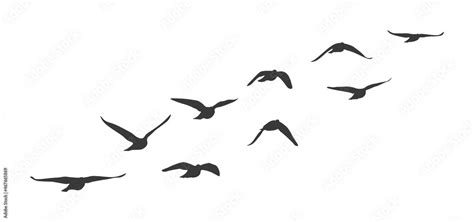 Flock Of Flying Birds Vector Silhouette Birds Clipart Stock Vector