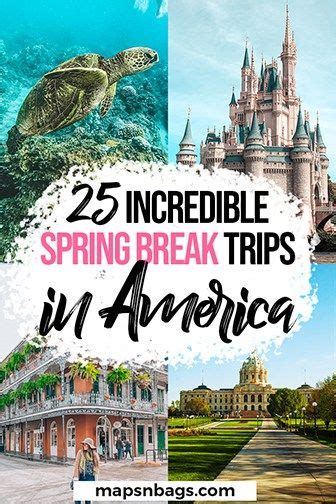 Unveiling Americas Top Spring Break Destinations
