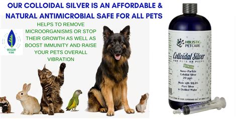 It is packaged in cobalt pet bottles to prevent. 32 OZ Colloidal Silver For Animals | Holistic Pet Care