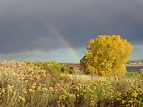 Autumn Rainbow Picture | Free Photograph | Photos Public Domain