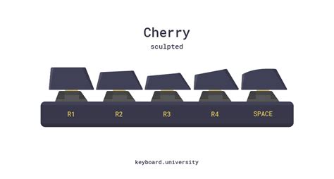 Types Of Keycap Profiles Das Keyboard Mechanical Keyb