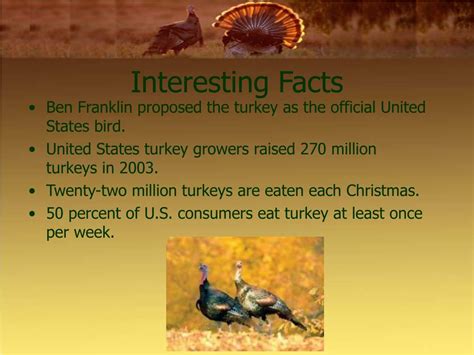 Ppt Turkeys An Overview Of The Turkey Industry In Georgia Powerpoint