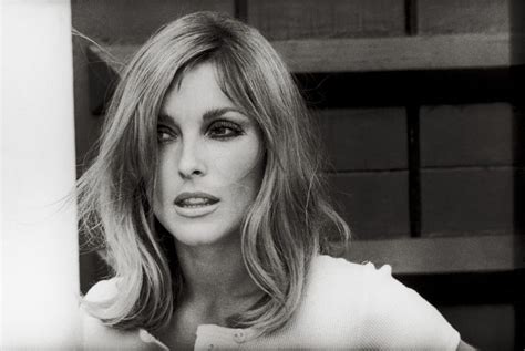 did sharon tate get plastic surgery body measurements and more plastic surgery stars