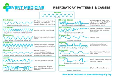 Respiratory Breathing Patterns And Causes Breathing Grepmed