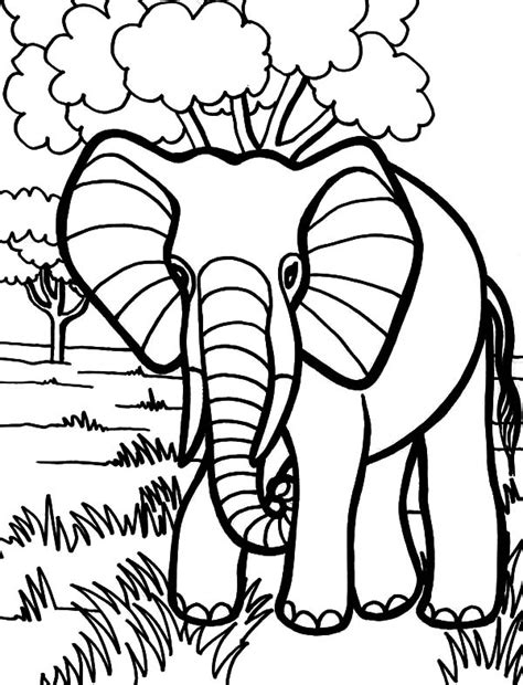 Wild African Elephant Coloring Pages Coloring Sky