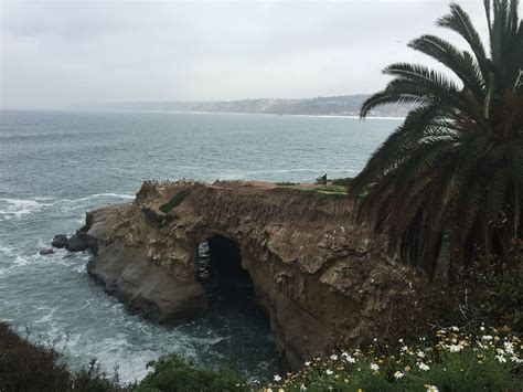 La Jolla Sea Caves And Coves Easy Hikes For San Diego