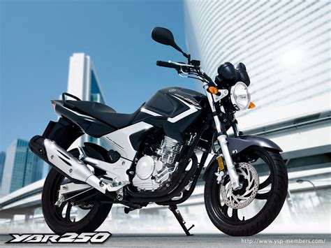 We did not find results for: ヤマハ迷走中・・・かえってきてー YBR250