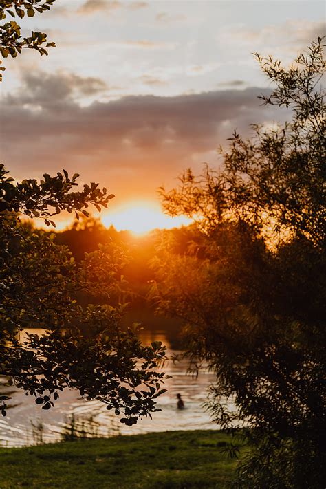 Green Trees Near Body Of Water During Sunset Hd Phone Wallpaper Peakpx