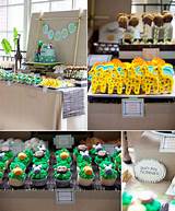 Jungle Animal Theme Party Supplies